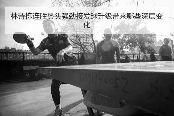 林诗栋连胜势头强劲接发球升级带来哪些深层变化