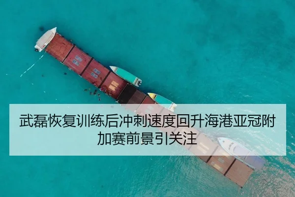 武磊恢复训练后冲刺速度回升海港亚冠附加赛前景引关注
